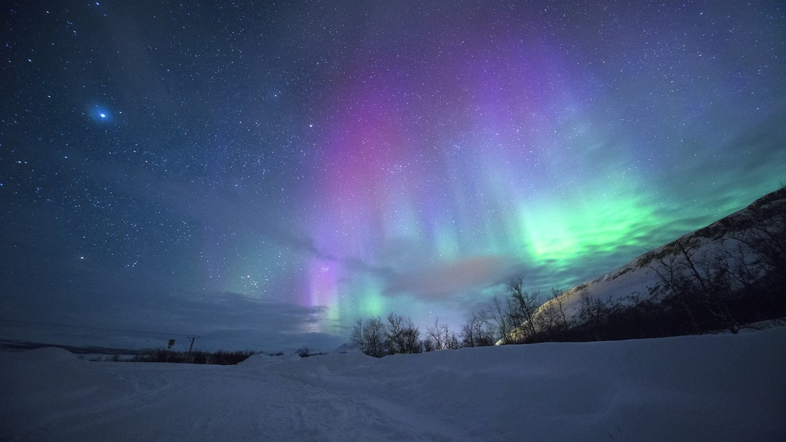 Vivid green and purple aurora borealis over a dark landscape